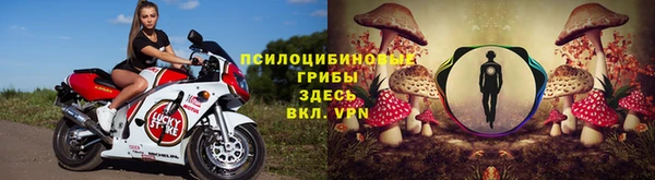 кокаин премиум Белокуриха