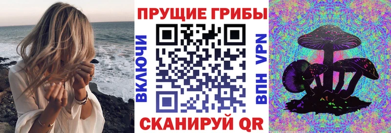omg ссылки  купить закладку  Сегежа  Псилоцибиновые грибы мухоморы 