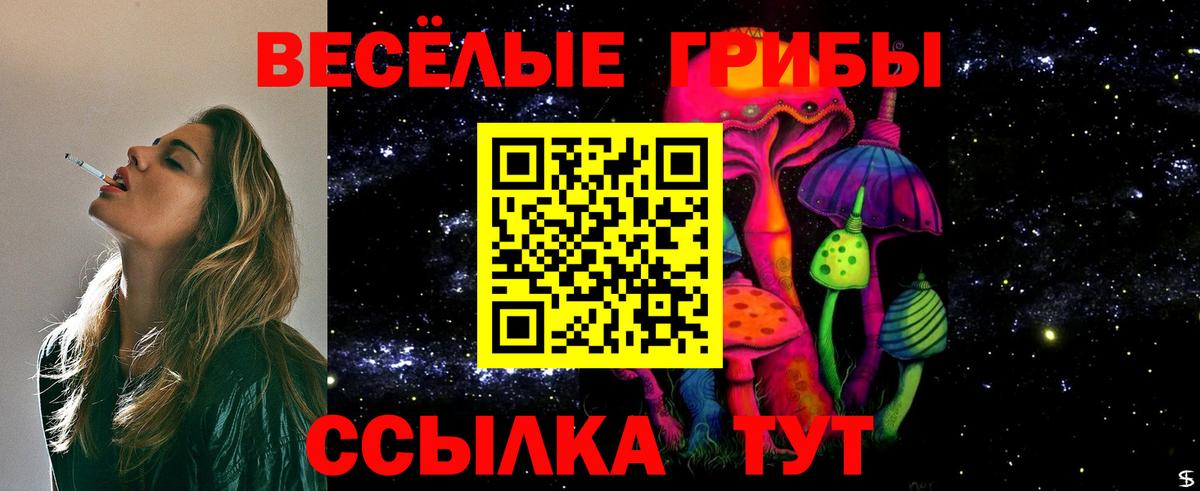Сегежа  Галлюциногенные грибы Cubensis  даркнет сайт  Вход с VPN 